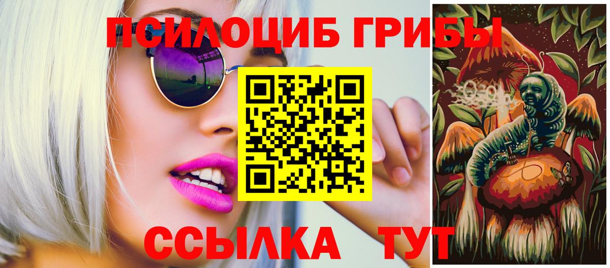 где купить наркоту  Галлюциногенные грибы мухоморы  Галлюциногенные грибы Psilocybe  Вход с VPN  Скопин 