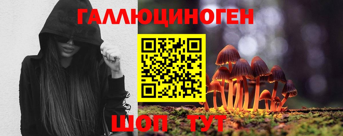 Галлюциногенные грибы MAGIC MUSHROOMS Скопин
